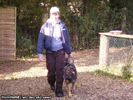 Australian Shepherd Hunde Foto 26546 Australian Shepherd Mirjam und Aischa Begleithundeprüfung erfolgreich bestanden