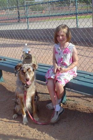 Australian Shepherd Hunde Foto 26890 Australian Shepherd Wyatt mit seiner kleinen Besitzerin