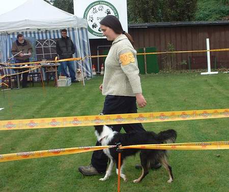 Australian Shepherd Hunde Foto 921 Australian Shepherd Zoe beim ASCA Obedience: