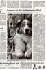 Australian Shepherd Foto: JCH. Louis from Skippy River DNA-VP (ID 27362) Australian Shepherd Hund