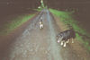 Australian Shepherd Foto: Ich und meine dicke Maus (ID 44635) Australian Shepherd Hund