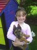 Australian Terrier Foto: D I N G O (ID 22691) Australian Terrier Hund