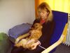 Australian Terrier Foto: Mir gehts richtig gut ( Doricas Ivanhoe ) (ID 22684) Australian Terrier Hund