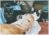 Azawakh Foto: Rashak + Benny + Tiffanny (ID 4253) Azawakh Hund