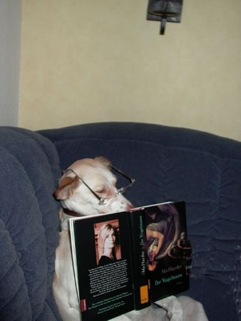 Balearen Laufhund Lotta liest gerne !