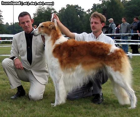 Barsoi Hunde Foto 8898 Barsoi Int. Ch. BOHUN Ze Sfory Carycy