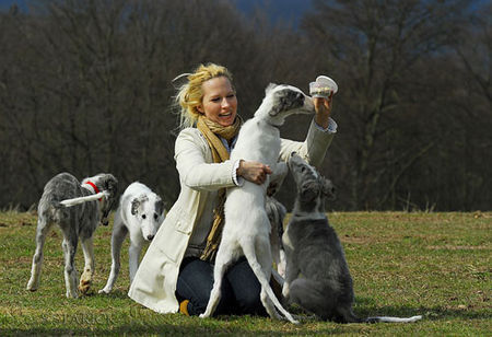 Barsoi Hunde Foto 37728 in höherer Auflösung ansehen Barsoi Barsoi -Welpen aus dem Zwinger Ischyma