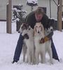 Barsoi Foto: Vier nette Jungs (ID 7487) Barsoi Hund