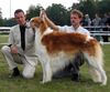 Barsoi Foto: Int. Ch. BOHUN Ze Sfory Carycy (ID 8898) Barsoi Hund