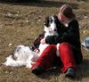 Barsoi Foto: 2 Freundinnen (ID 9898) Barsoi Hund