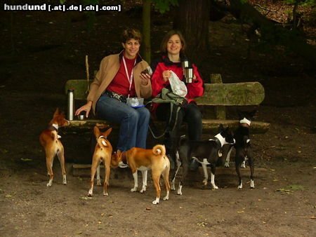Basenji Hunde Foto 24369 Basenji Raubtierfütterung im Grunewald