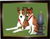 Basenji Foto: Anka und Bravo (ID 2585) Basenji Hund