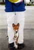 Basenji Foto: Neue Züchtung:Roter Basenji mit schwarzem Schwanz (ID 6871) Basenji Hund