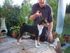 Basenji Foto: Bizayo Bashiri van Oxymoron (ID 24654) Basenji Hund