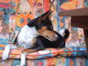 Basenji Foto: Eddie - jetzt ein Jahr alt (ID 26969) Basenji Hund