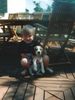Beagle Foto: Christopher+Hektor (ID 20234) Beagle Hund