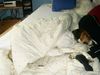 Beagle Foto: Sammy am Schlafen (ID 14485) Beagle Hund