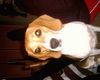 Beagle Foto: Unser (ID 21450) Beagle Hund