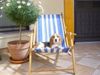 Beagle Foto: chester , mit 12 wochen schon soo erwachsen (ID 11783) Beagle Hund