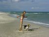 Beagle Foto: Chester am Meer (ID 14438) Beagle Hund