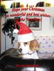Beagle Foto: Erste Weihnachten mit (ID 17241) Beagle Hund