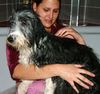 Bearded Collie Foto: Susanna im Bade: Alexis, genannt Bella (ID 21605) Bearded Collie Hund