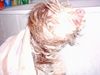 Bearded Collie Foto: beardies sind waschbar aber trockenen wollen sie sich alleine (ID 20636) Bearded Collie Hund