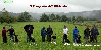Beauceron Hunde Foto 26834 in höherer Auflösung ansehen Beauceron Familenfoto