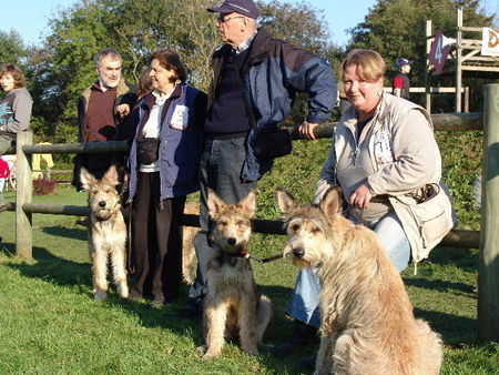 Berger Picard Hunde Foto 40476 in höherer Auflösung ansehen Berger Picard Nationale Elevage Conty 2007