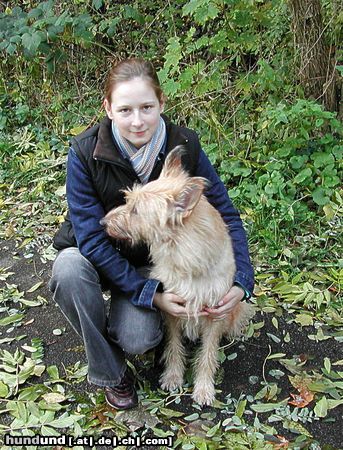 Berger Picard Hunde Foto 12558 Berger Picard Judith und Dicki