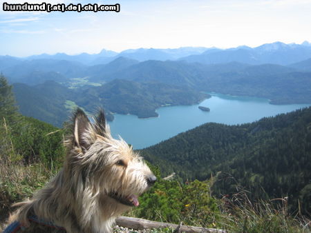 Berger Picard aussichtsreich