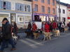 Berger Picard Foto: Conty 2007 defile mit ca.150 Picards (ID 40477) Berger Picard Hund