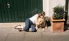 Berger Picard Foto: Hier sitze ich mit Judith in der Sonne (ID 13012) Berger Picard Hund
