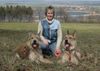 Berger Picard Foto: li. Ugini Mitte Petra re. Ursaf (ID 31453) Berger Picard Hund