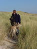 Berger Picard Foto: Urlaub in der Picardie (ID 41322) Berger Picard Hund