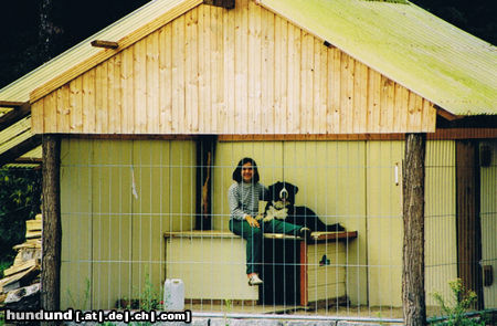 Berner Sennenhund Hunde Foto 45748 in höherer Auflösung ansehen Berner Sennenhund