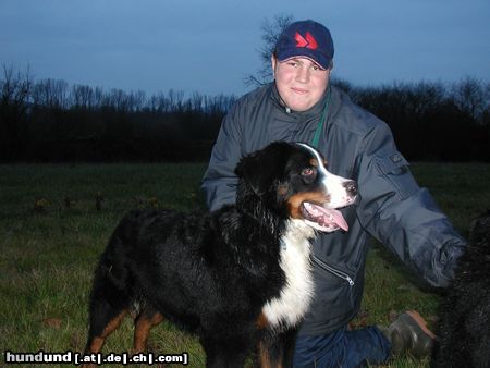 Berner Sennenhund Hunde Foto 7220 Berner Sennenhund Ben und Tobi