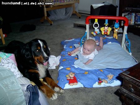 Berner Sennenhund Hunde Foto 13526 Berner Sennenhund Balou, bewacht unser Baby