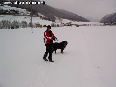 Berner Sennenhund carlos in südtirol