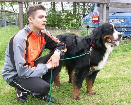 Berner Sennenhund Kreismeisterin Emily und ihr Herrchen;)