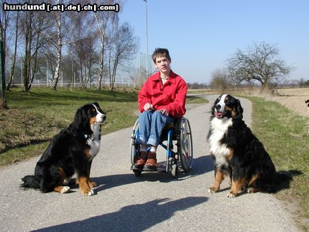 Berner Sennenhund Hunde Foto 2970 Berner Sennenhund Maja+Fabian+Max