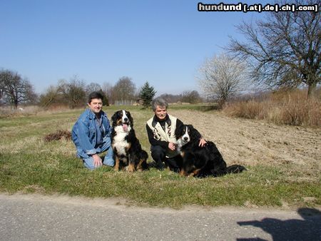 Berner Sennenhund Brüder mit Freunden auf 4 Pfoten