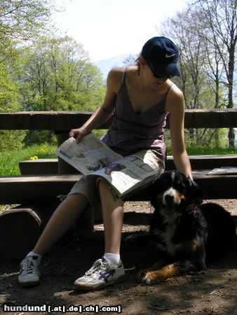 Berner Sennenhund Hunde Foto 21042 in höherer Auflösung ansehen Berner Sennenhund !!! Was für ein Hundeleben !!!