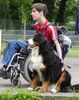 Berner Sennenhund Foto: Freunde fürs Leben (ID 25597) Berner Sennenhund Hund