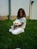 Bichon Frisé Foto: Tabby und Janine (ID 14143) Bichon Frisé Hund