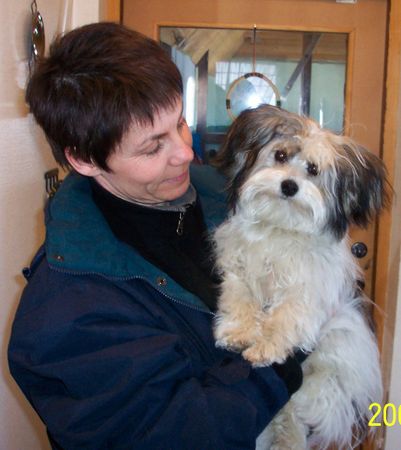 Bichon/Yorkie Hunde Foto 2372 Bichon/Yorkie Barbie Beauties Hampus 9 m.