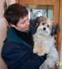 Bichon/Yorkie Foto: Barbie Beauties Hampus 9 m. (ID 2372) Bichon/Yorkie Hund