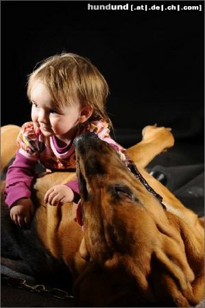 Bloodhound Emily & Djamal