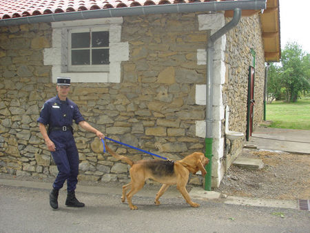 Bloodhound french police force bloodhound