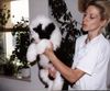 Bobtail Foto: Hier seht Ihr einen Welpen unserer Zucht namens Bonetti gerade 8 Wochen alt. (ID 3656) Bobtail Hund
